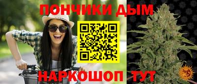 mdma Сланцы