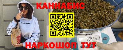 гашик Славгород