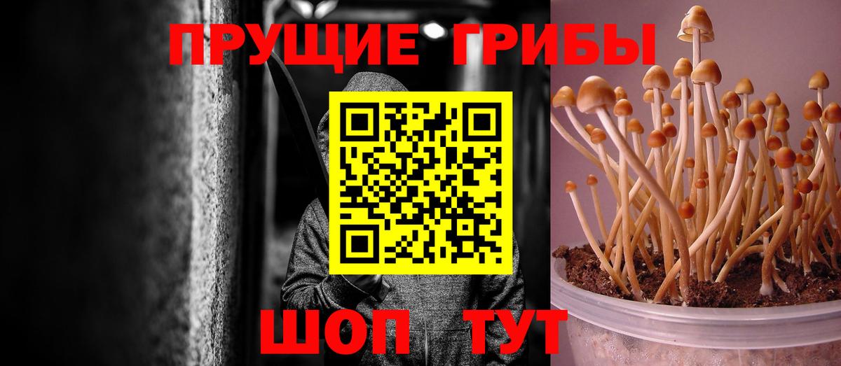 Бирск  Псилоцибиновые грибы мухоморы  Вход с VPN 