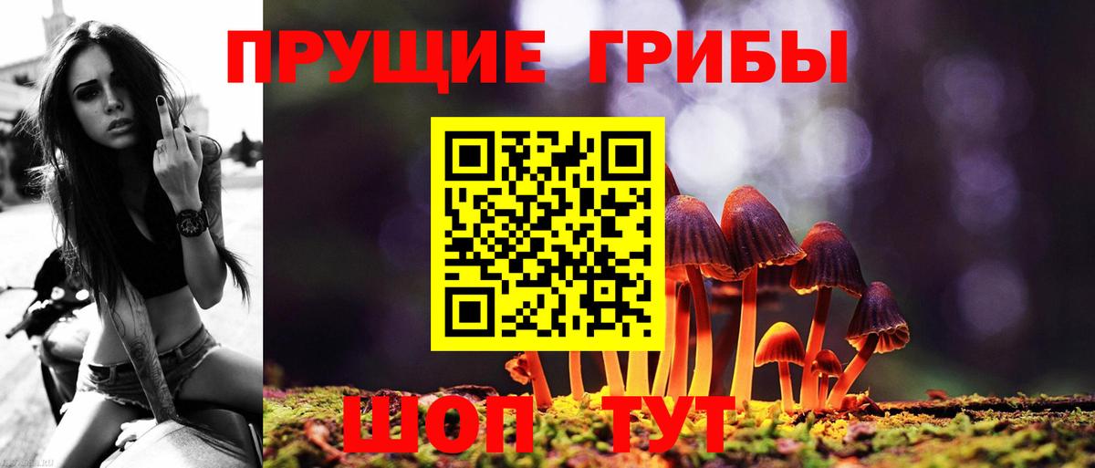 Псилоцибиновые грибы мицелий Бирск